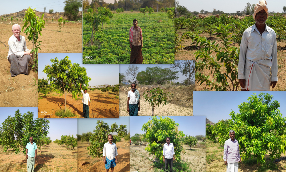 SayTrees: Bengaluru-Based NGO Is Transforming Farmers Lives, Tackling Climate Change
