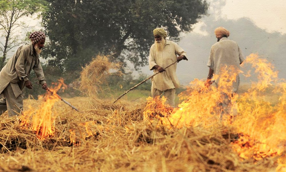 Stubble Burning Led To 36% Rise In PM 2.5 Pollutants In Delhis Air