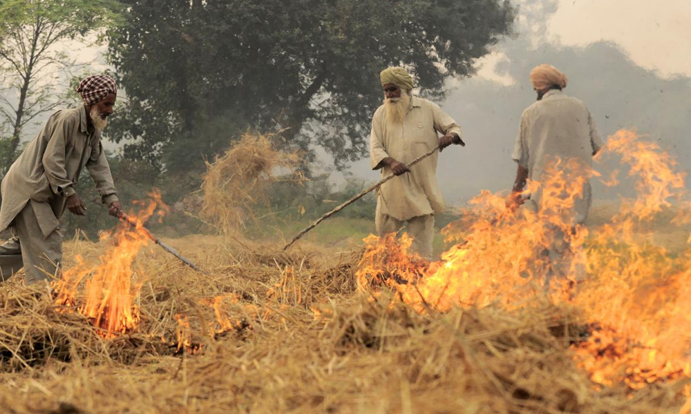 2,000 Farmers Booked For Stubble Burning in Uttar Pradesh