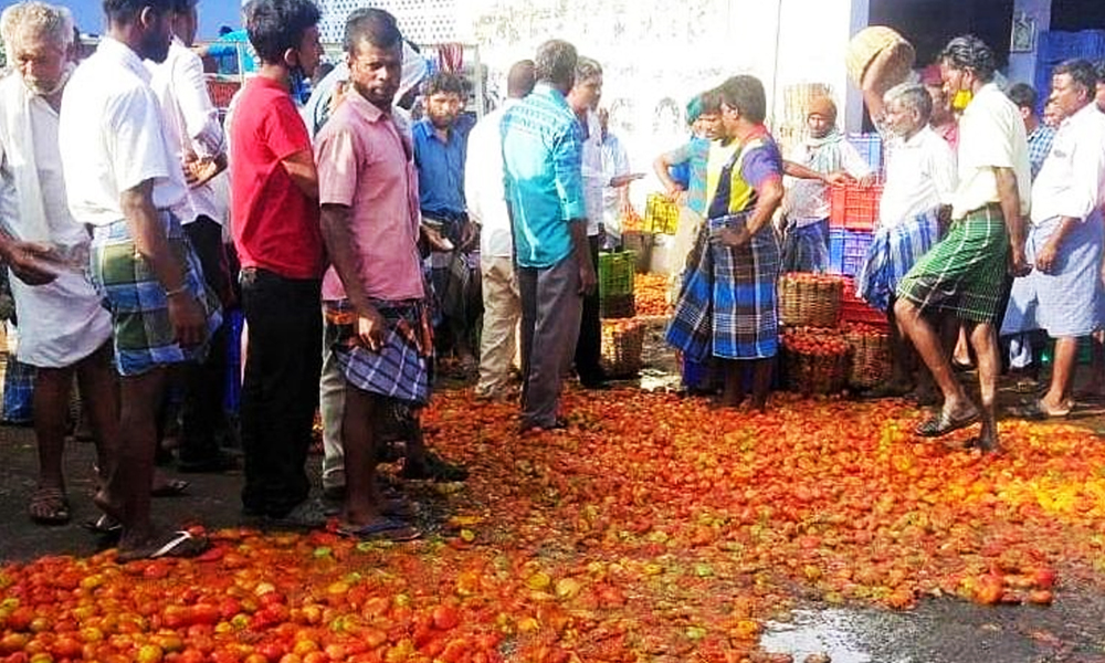 Irked By Low Prices, Dharampuri Farmers Dump Tonne Of Tomatoes On Roadside