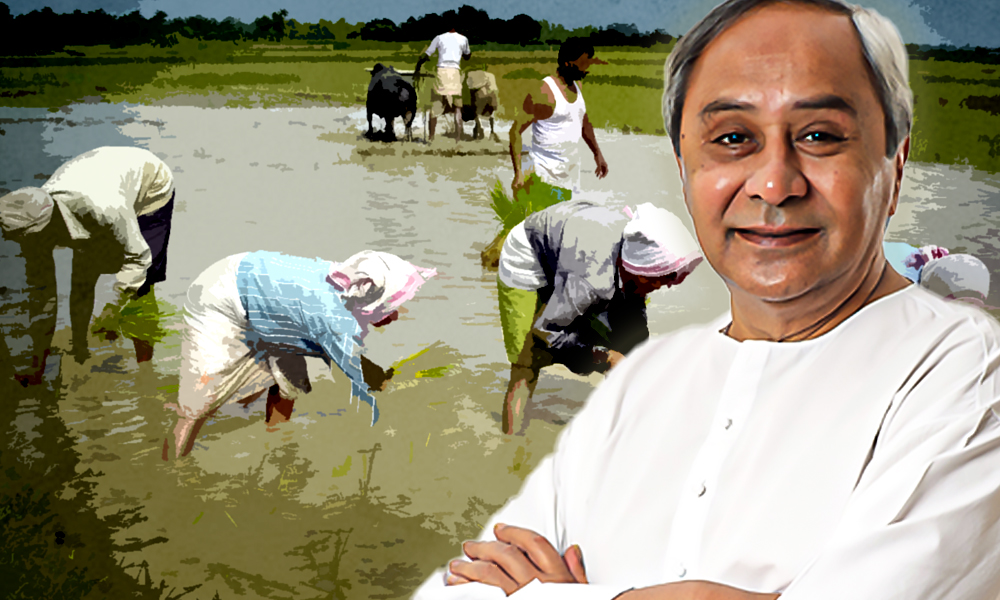 Odisha Brings Agriculture Ordinance To Benefit Farmers