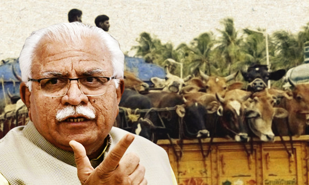 Haryana To Get Special Task Force To Curb Cattle Smuggling, Slaughter: CM Khattar