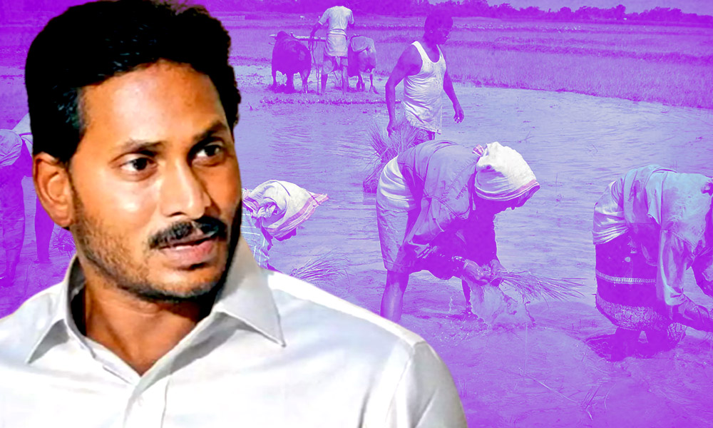 Andhra Pradesh: CM Jagan Mohan Reddy Launches Interest-Free Crop Loan Scheme To Aid Farmers