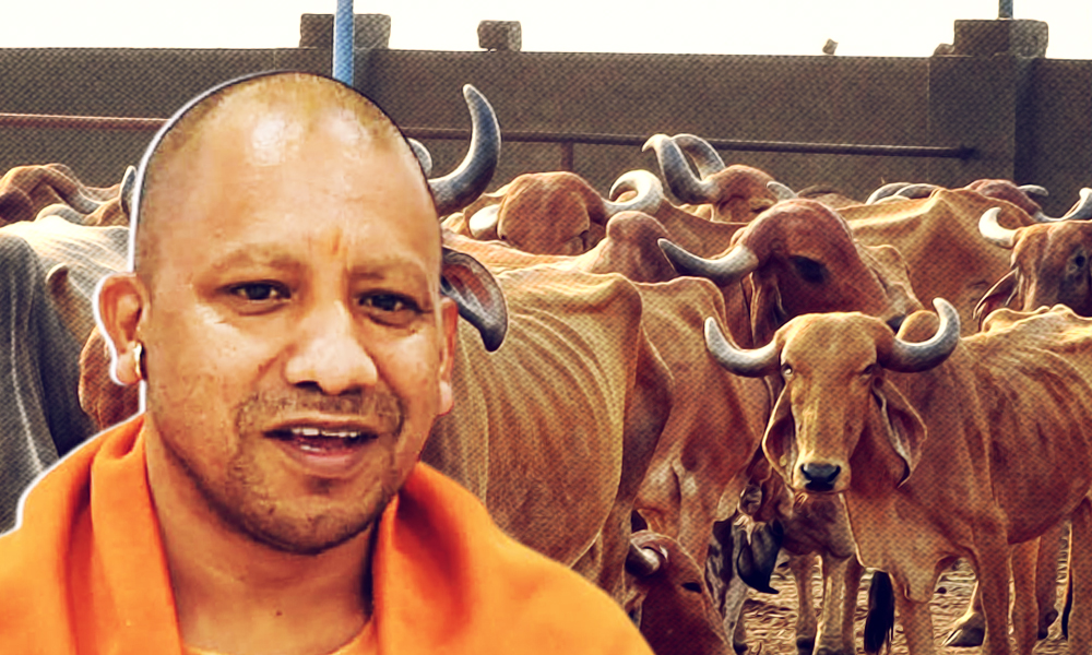 UP CM Gifts Cows To 11 Families With Malnourished Kids