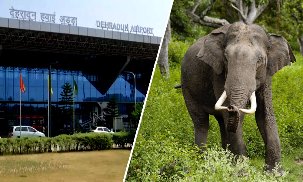 Uttarakhand Wildlife Board De-Notifies Shivalik Elephant Reserve For Airport Expansion