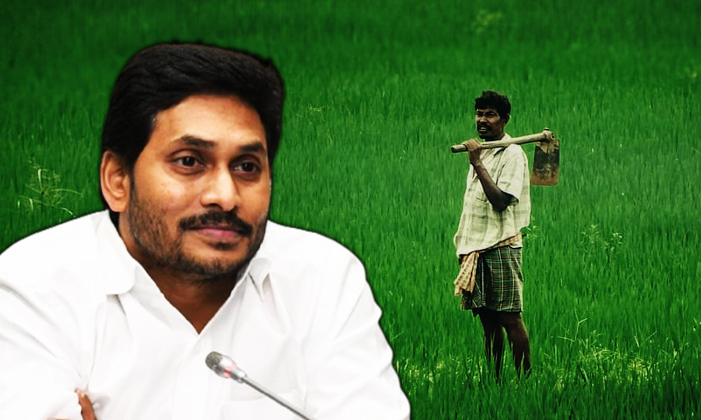 AP Assembly Passes Bill For Formation Of State Agriculture Council To Improve Quality Of Seeds, Fertilisers