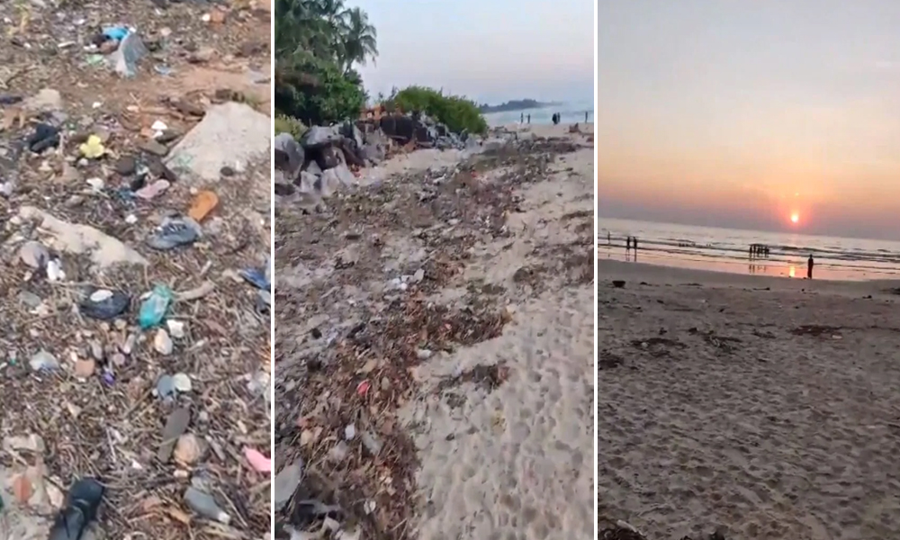 Newly-Wed Couple Performs Eco-Duty Instead Of Vacation, Cleans Up 600 Kg Trash From Beach