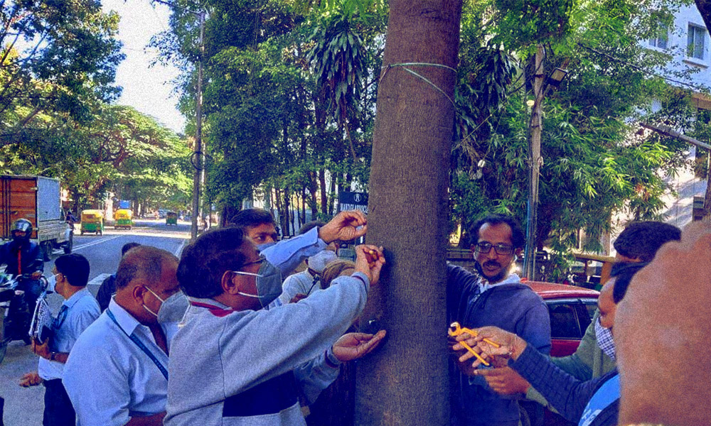 Bengaluru Civic Body Launches Nails Free Trees Campaign