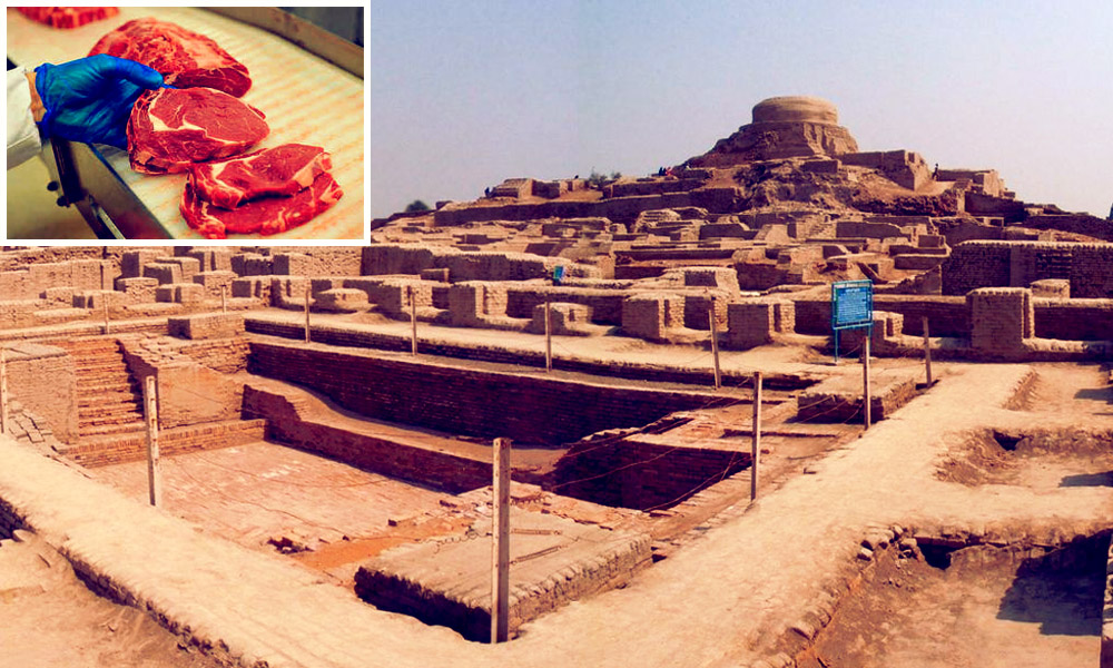 Indus Valley Civilisation Had Preference For Beef, Meat-Heavy Diet, Reveals Study