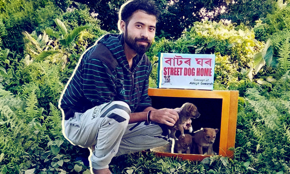 Paw-dorable! Assam Man Turns Discarded TV Sets To Shelter Homes For Dogs