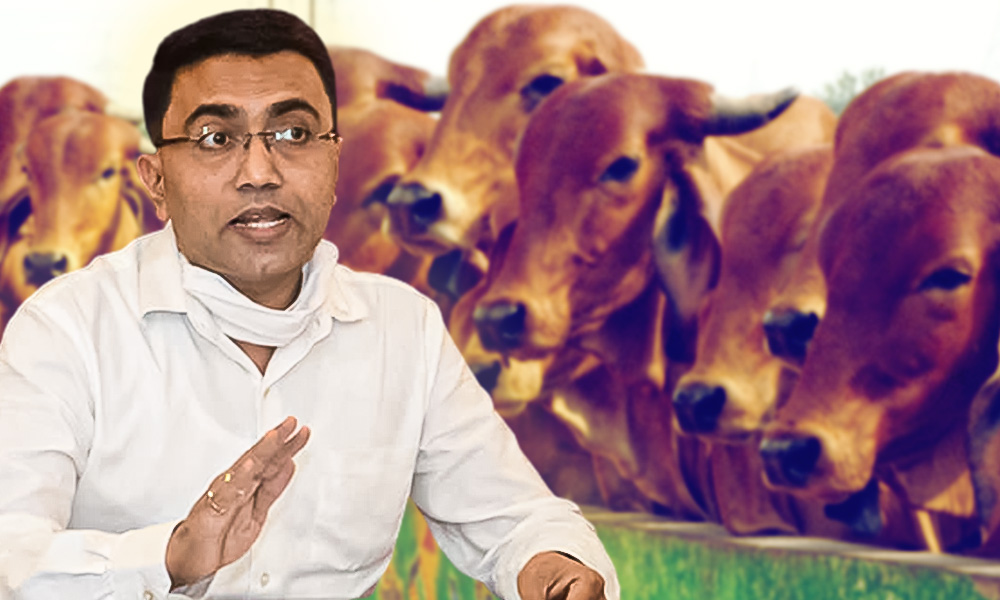 Hypocrisy Much? Netizens Call Out Goa CM Pramod Sawants Assurance Of Beef Supply Amid Shortage