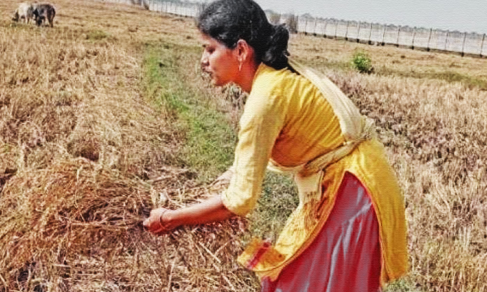 Odisha Girl Shatters Gender Roles, Takes Up Farming After Graduation