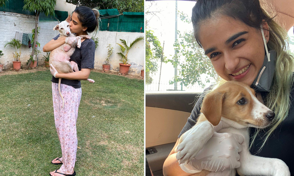 Meet Vibha Tomar, A Veterinary Student Who Turned Saviour For Strays During COVID-19 Pandemic