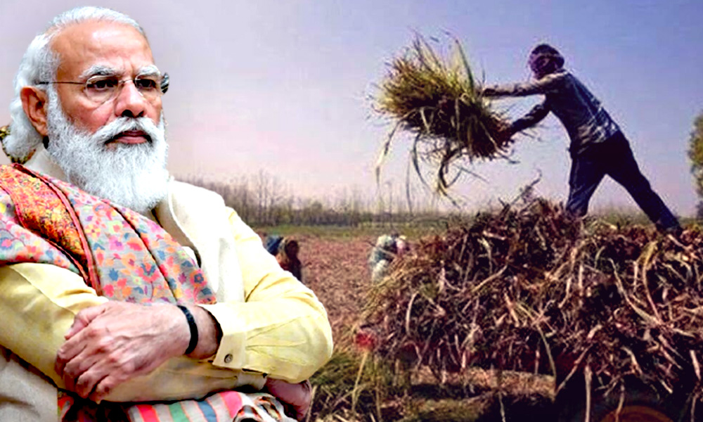 RTI Revelation! Govt Paid Rs 1,364 Cr To Over 20 Lakh Undeserving Beneficiaries Under PM-KISAN