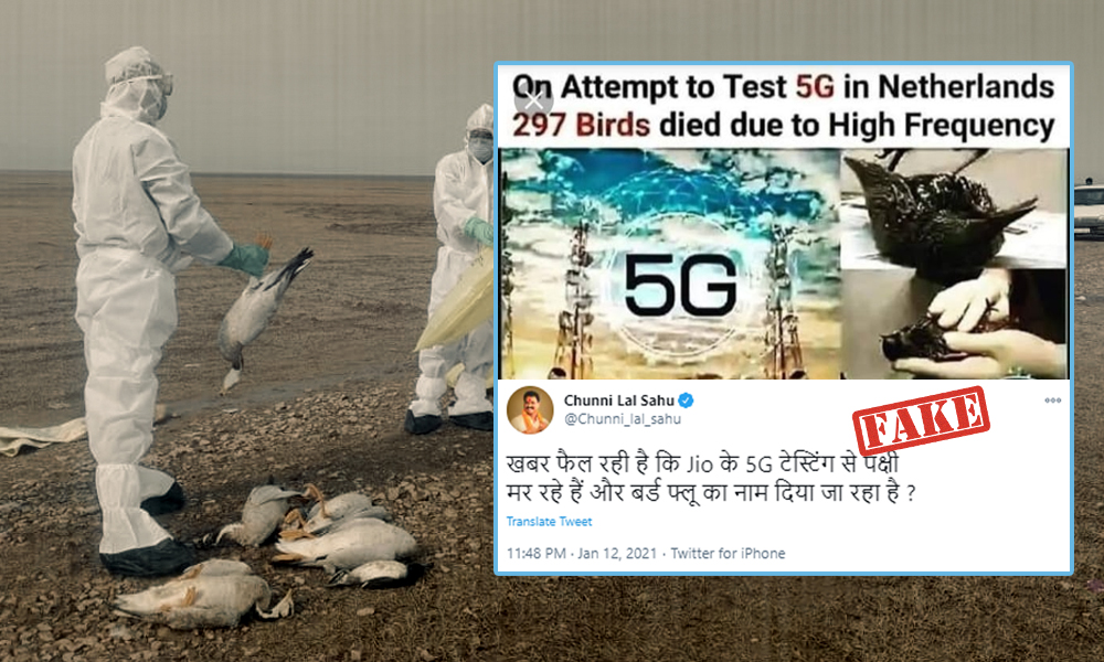 297 Birds Did Not Die Because of a 5G Experiment in Netherlands