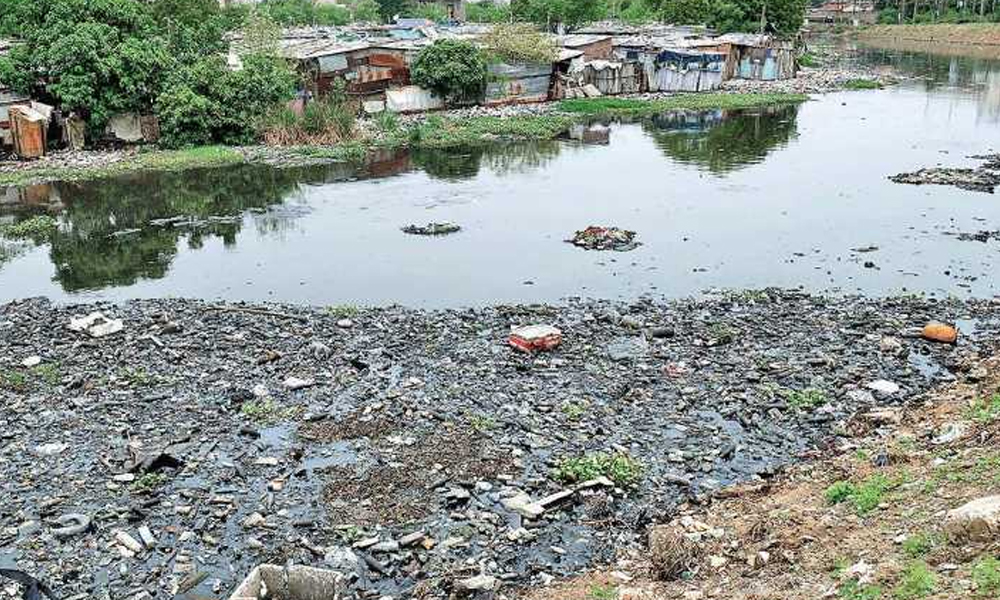 Chennai: Restoration Disrupted As Private Parties Claim Ownership Of Lake Bed
