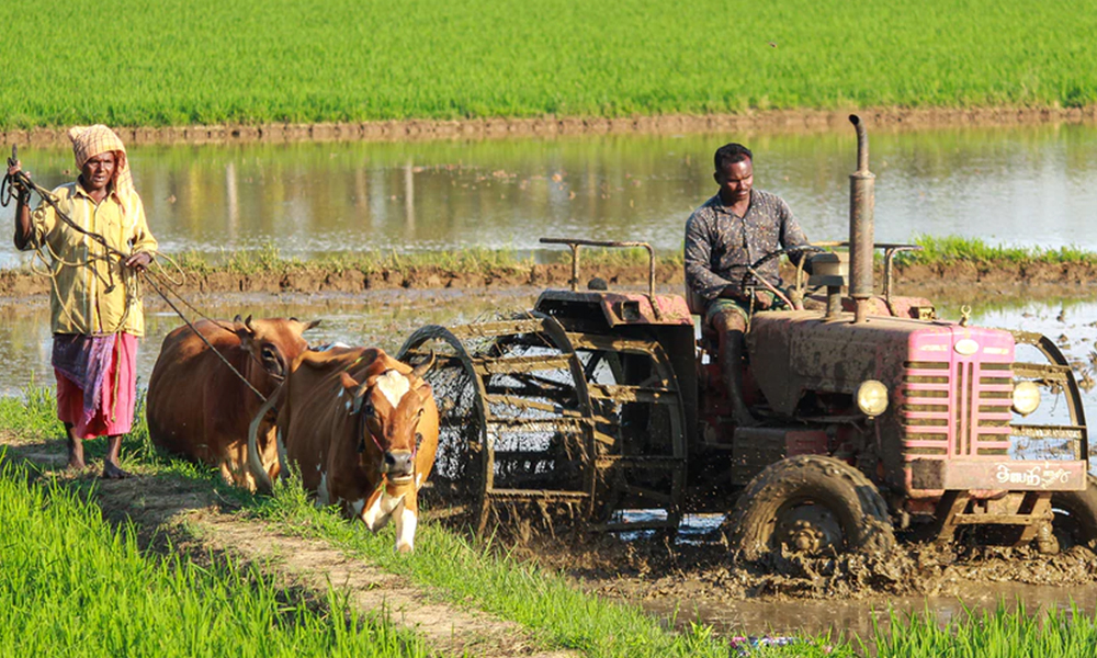 Recent Farm Laws Are A Remedy, Not Malady: Economic Survey 2020-21