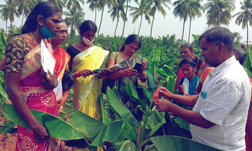 Tamil Nadu: Transgender Persons Get Training On Agriculture Entrepreneurship In Tiruchirapalli