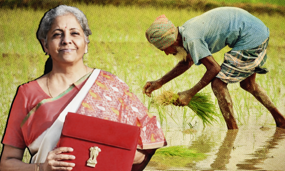 Budget 2021: FM Nirmala Sitharaman Announces ₹75,100 Crore For Welfare Of Farmers