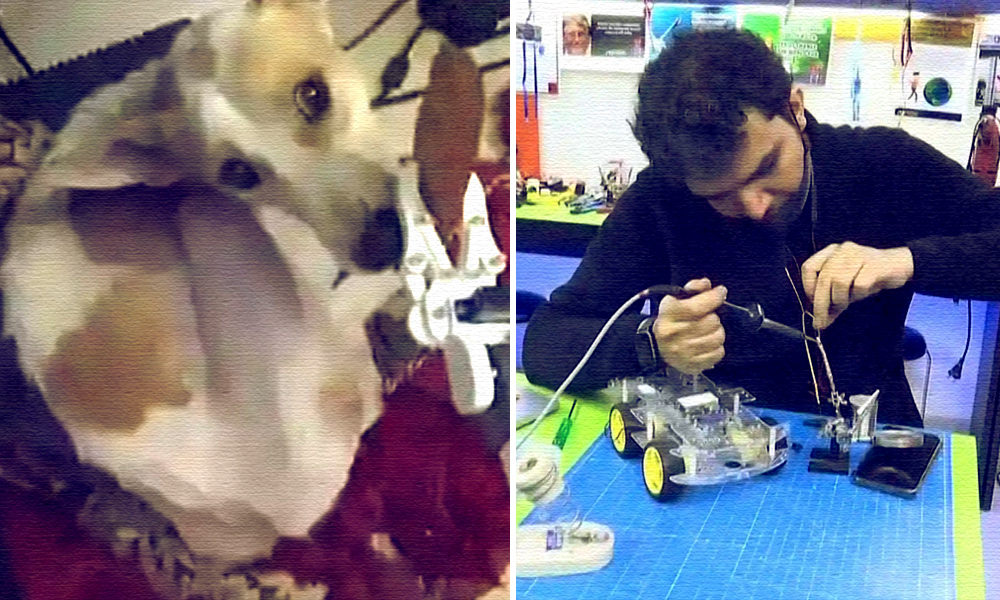 Lucknow Man Builds Robot To Take Care Of His Differently-Abled Dog