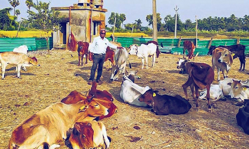 Odisha: Saving Cattle Is Lifes Mission For This Retired Police Officer