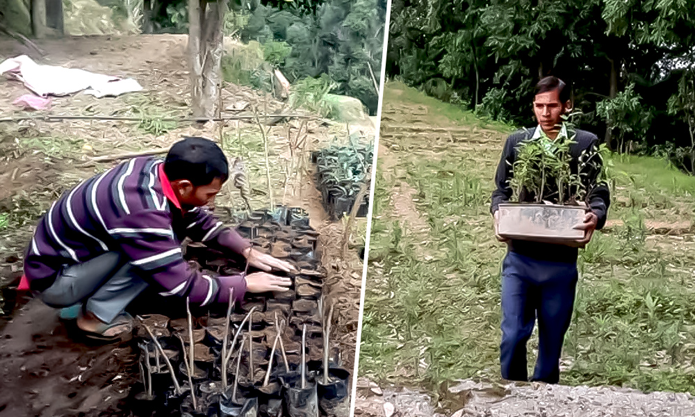 My Story: Quit My Job To Follow Passion, Planted More Than 12,000 Trees To Conserve Nature