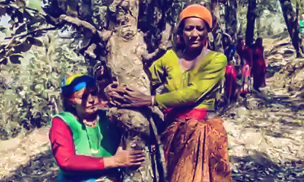 Uttarakhand Women Revive Chipko Movement, Hug Trees To Prevent From Felling For Road Construction