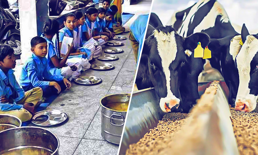 Cattle Feed For Mid-Day Meal: Pune Municipal School Receives Fodder For Students