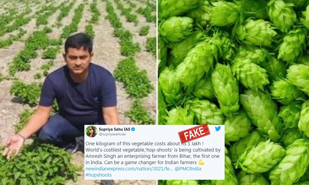Reports Of Bihar Youth Growing Crop Worth Rs 1 Lakh Per Kg Are Fake