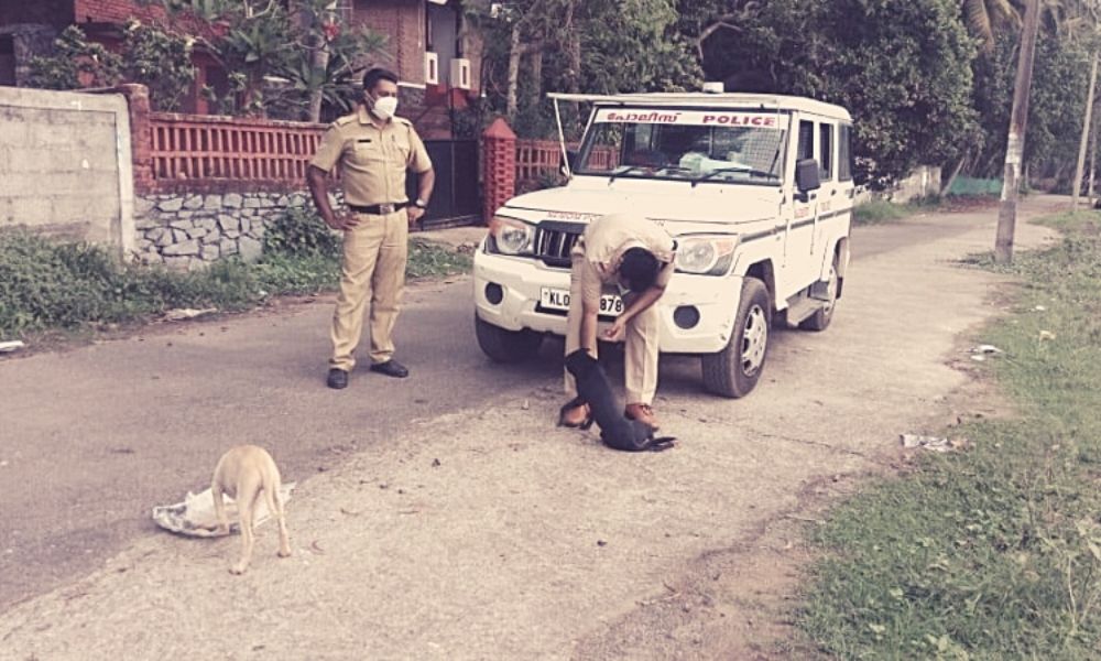 My Action Should Inspire People To Feed One Deprived Person Or Stray Animal Daily: Kerala Cop Feeds Stray Dogs Amid Lockdown