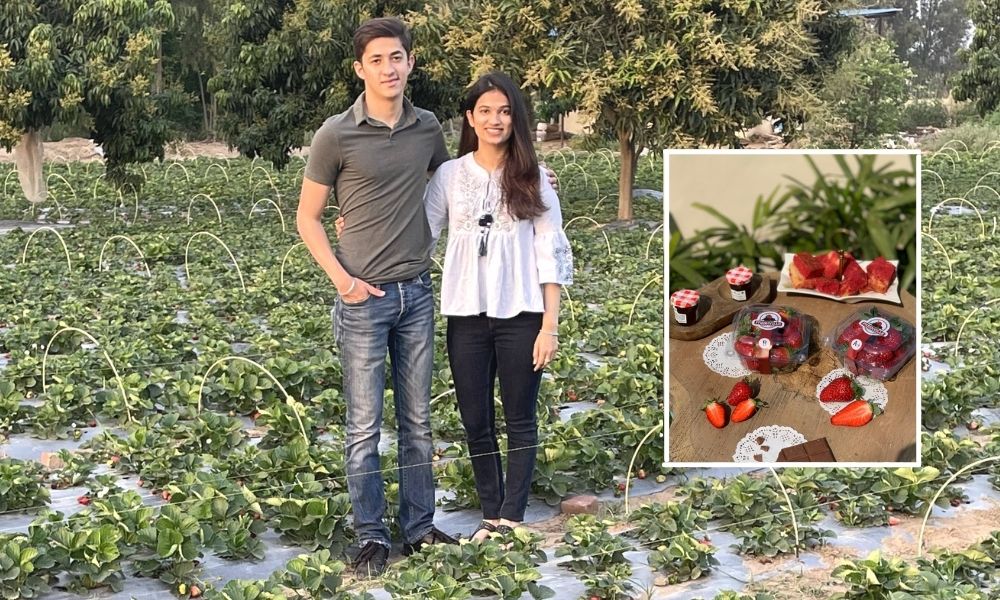 My Story: Turned My Hobby Of Strawberry Farming Into A Profitable Venture During Lockdown