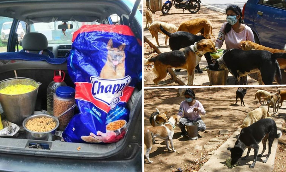 Jharkhand: This Family Is Running Feeding Drive For Stray Dogs, Serves Over 150 Dogs Everyday