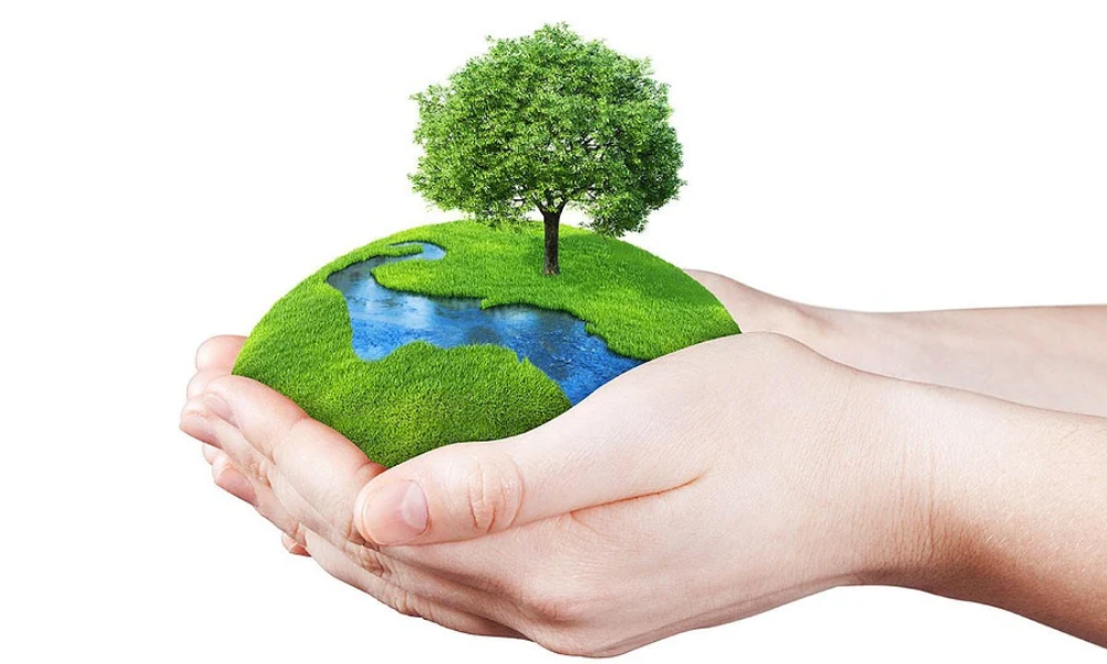 World Environment Day: People-Centric Strategy Is Key To Restore Urban Ecosystem
