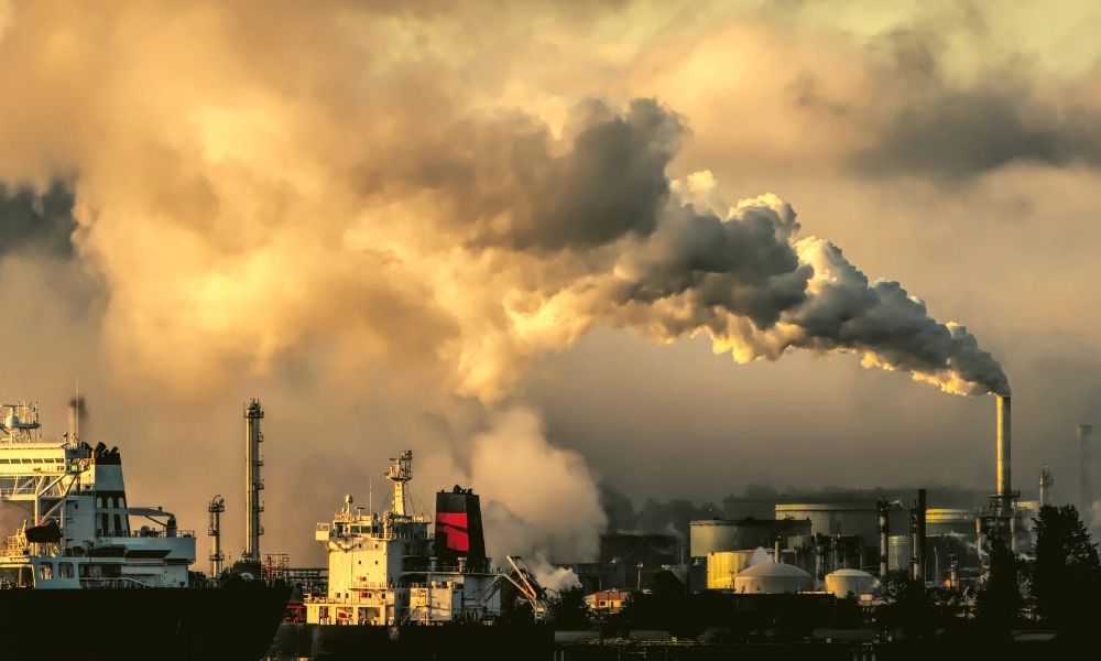 Despite Pandemic, Carbon Dioxide Levels Are At All-Time High