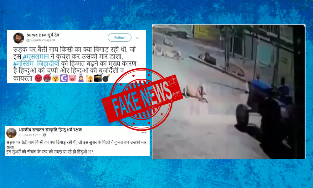 Video Of Man Running Tractor Over Cow Is Viral With False Communal Spin