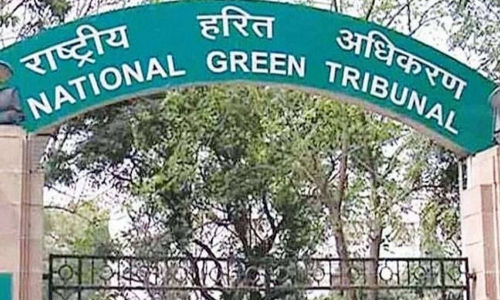 Noise-Free Environment Part Of Right To Live, Its Violation A Criminal Offence: NGT