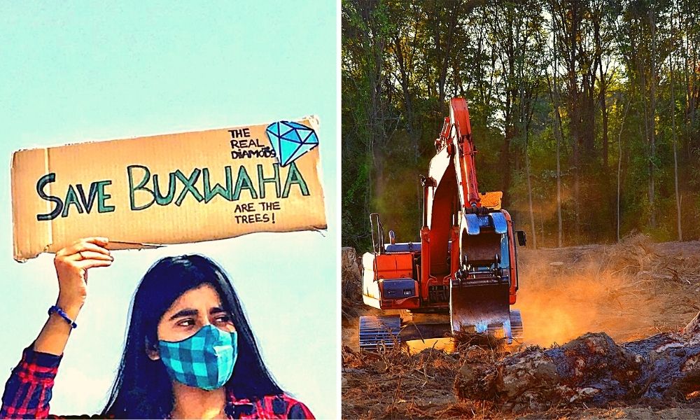 #SaveBuxwahaForest: Over 2 Lakh Trees, Water Resources At Stake Due To Diamond Mining Project In Madhya Pradesh