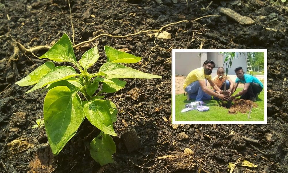 This Ahmedabad Man Is Planting Trees After His Wife Died Of COVID-19 Oxygen Shortage