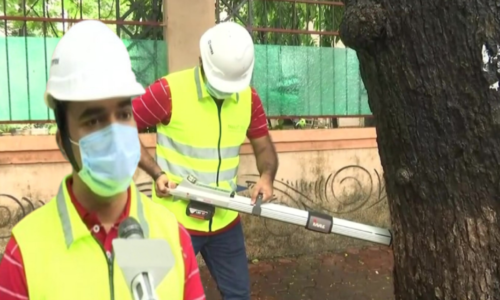 BMC Appoints Tree Surgeon To Conduct Audit Of Trees In Mumbai