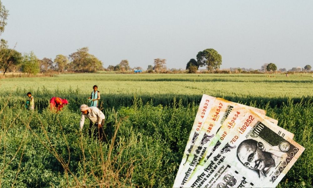Odisha: Police Arrest Fraudster For Swindling Rs 3.5 Crore Of Farmers Subsidy