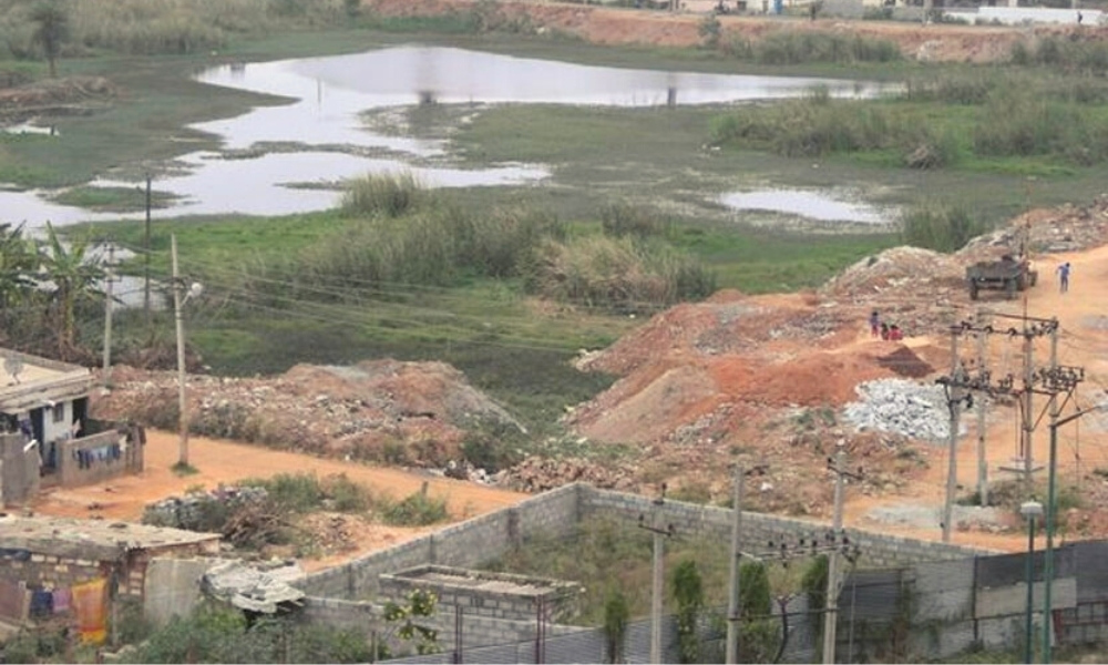 4,500 Acres Of Lake Land Encroached In Bengaluru, Survey Says Number Might Increase