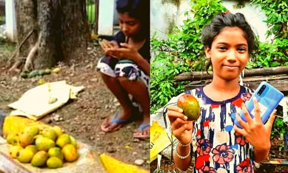 Jharkhand Girl Buys Smartphone After Selling Dozen Mangoes For Rs 1.2  Lakh