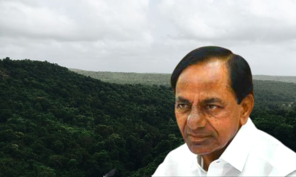 Telangana Forest Department Transforms 160-Acre Barren Land Into Verdant Glory