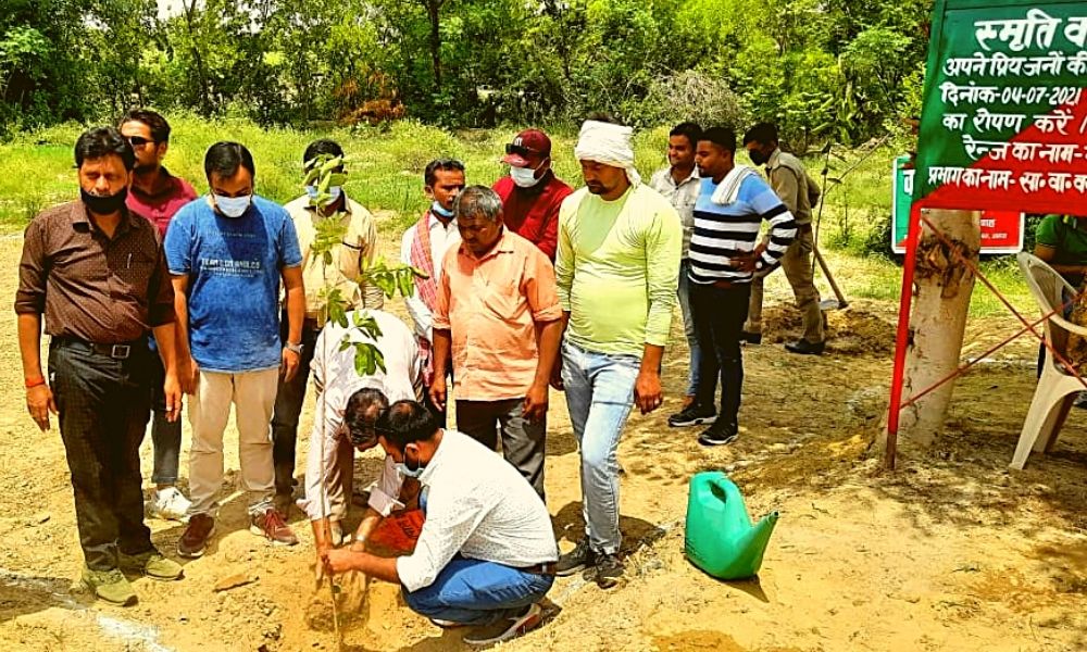 Uttar Pradesh Sets Record, Plants 25 Crore Saplings In A Day