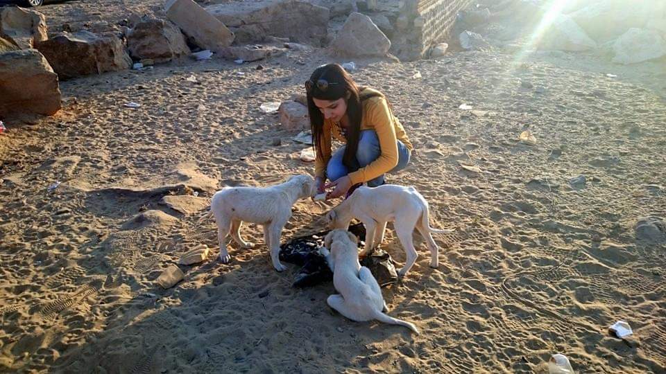 One of the members of the team with stray dogs
