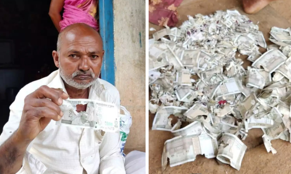 Tragic! Rats Nibble Rs 2 Lakh Cash Saved By Telangana Farmer For Surgery
