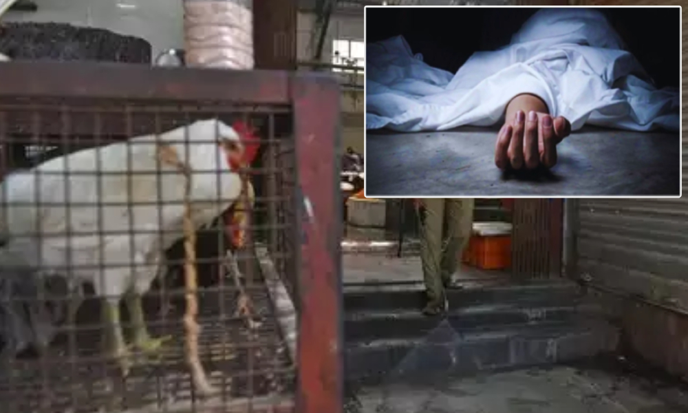 First Death Due To Bird Flu At AIIMS Delhi; Staff Under Isolation