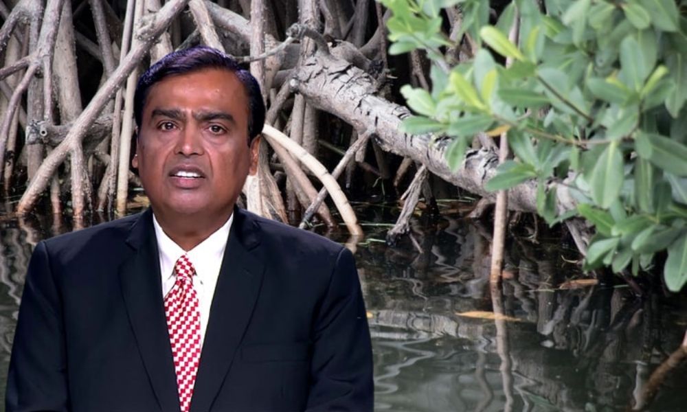 Reliance Plants Mangroves On 825 Acres Near Jamnagar Refinery