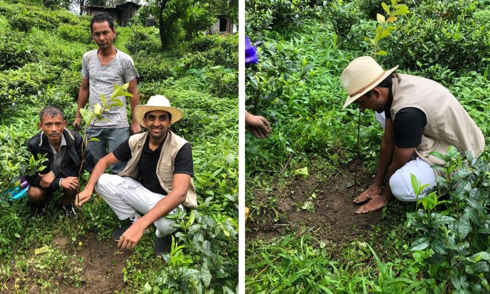 This Darjeeling Tea Estate Is Ditching Traditional Practises To Create Sustainable, Innovative Business