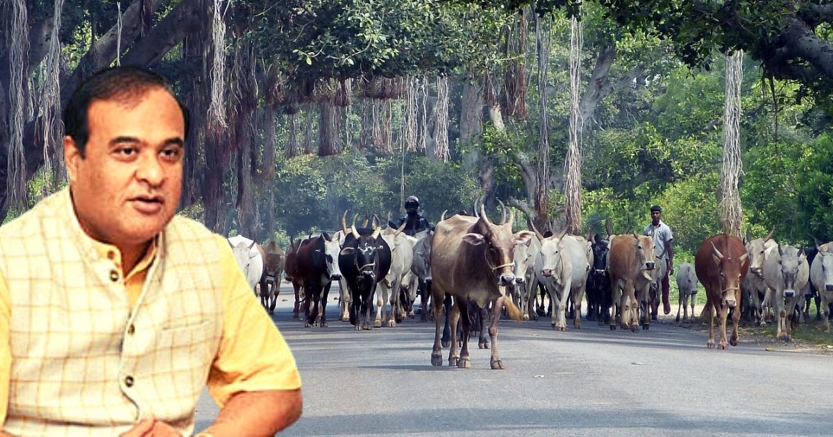 Assam Passes New Cattle Preservation Bill, Chief Minister Says Will Build Communal Harmony
